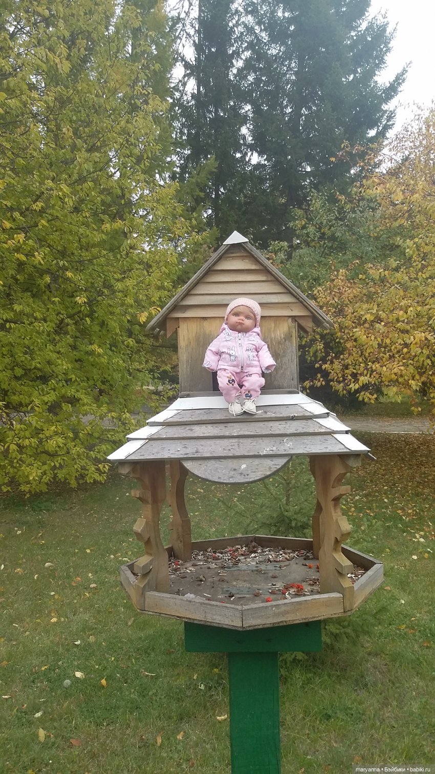 Осенняя прогулка с Миленкой. Село Красноярка Омской области