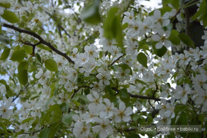 Малышки Zwergnase Junior — Игровые куклы Zwergnase (Цвергназе) Junior: Джуниор