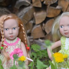 Малышки Zwergnase Junior