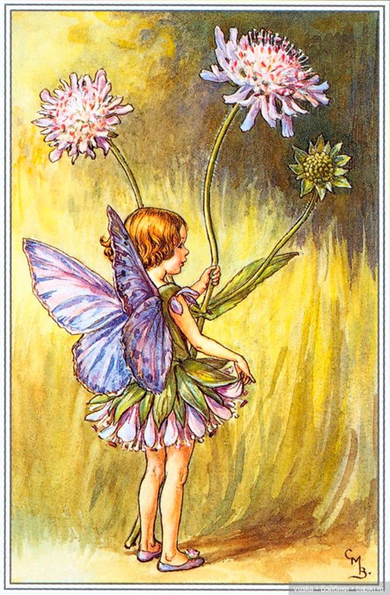 Волшебная страна Fairyland и ее fairyнародец