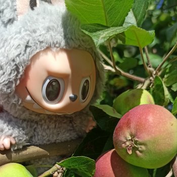 🤍Labubu Кунжут- приятно познакомиться!🤍