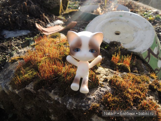 Ранняя весна и Минириз — Куклы Planetdoll (Планетдолл): BJD (БЖД)