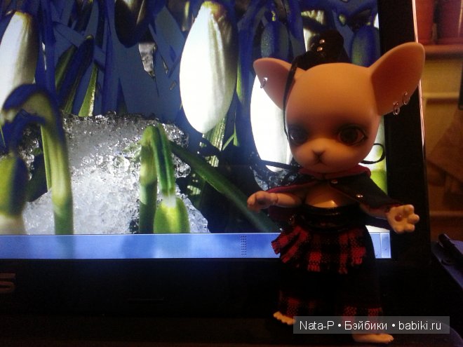 Панг-Джу и рестораны — Куклы Ai Doll и Pangju (Панджу): Tiny BJD (БЖД) (фото 2)