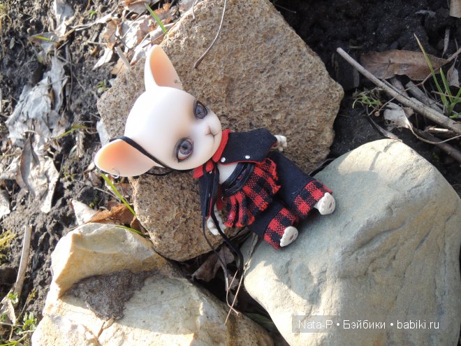 Pang-ju и весна — Куклы Ai Doll и Pangju (Панджу): Tiny BJD (БЖД) (фото 4)