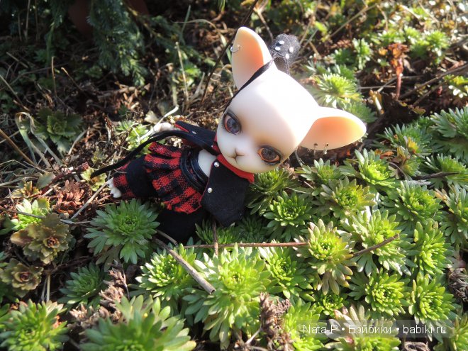 Pang-ju и весна — Куклы Ai Doll и Pangju (Панджу): Tiny BJD (БЖД)