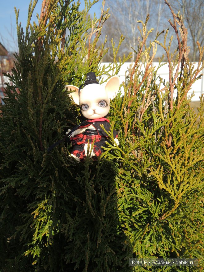 Pang-ju и весна — Куклы Ai Doll и Pangju (Панджу): Tiny BJD (БЖД) (фото 2)