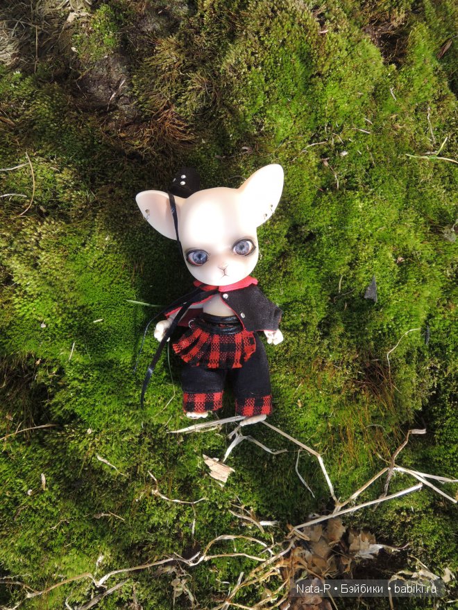 Pang-ju и весна — Куклы Ai Doll и Pangju (Панджу): Tiny BJD (БЖД) (фото 3)