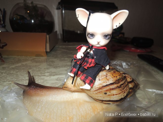 Романтические будни Панг-Панга (фото 7)