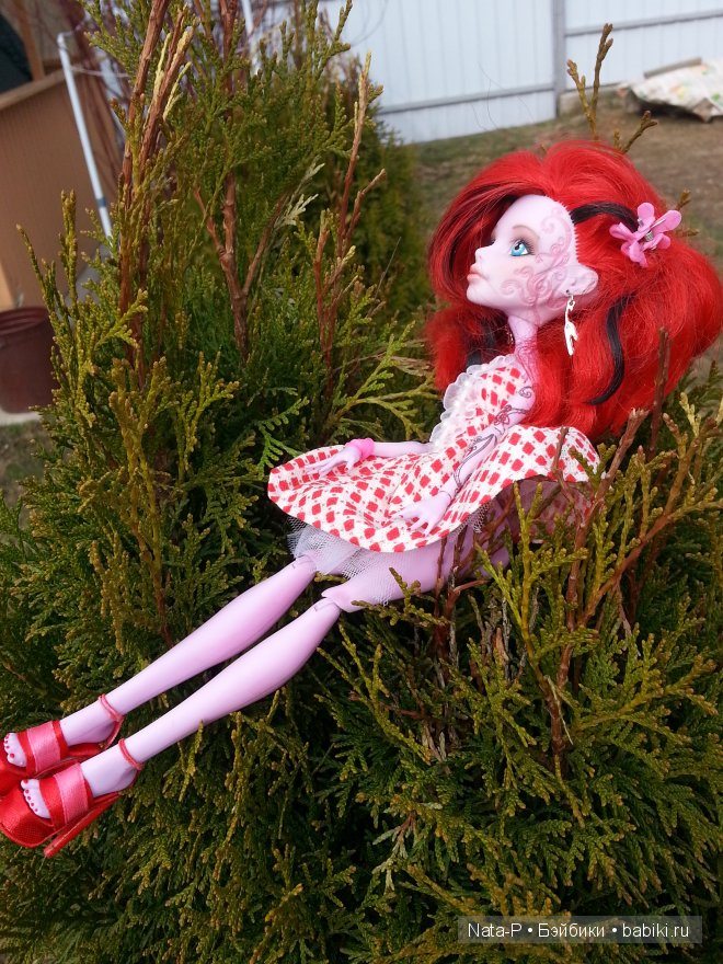 Кот Николай и другие — Авторские работы в частных коллекциях: домашние фото кукол и игрушек (фото 5)