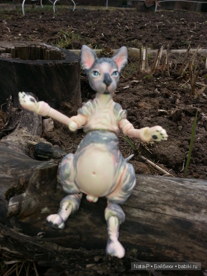 Кот Николай и другие — Авторские работы в частных коллекциях: домашние фото кукол и игрушек (фото 6)