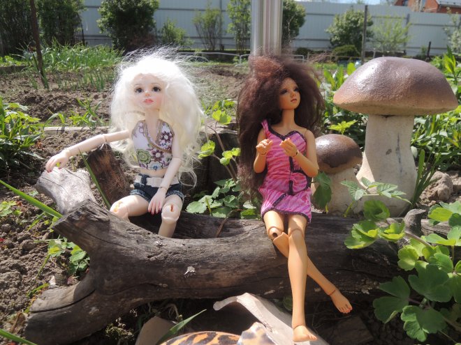 В гостях у гномов — Куклы Planetdoll (Планетдолл): BJD (БЖД)