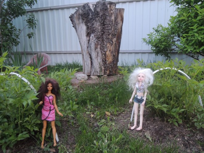 В гостях у гномов — Куклы Planetdoll (Планетдолл): BJD (БЖД)