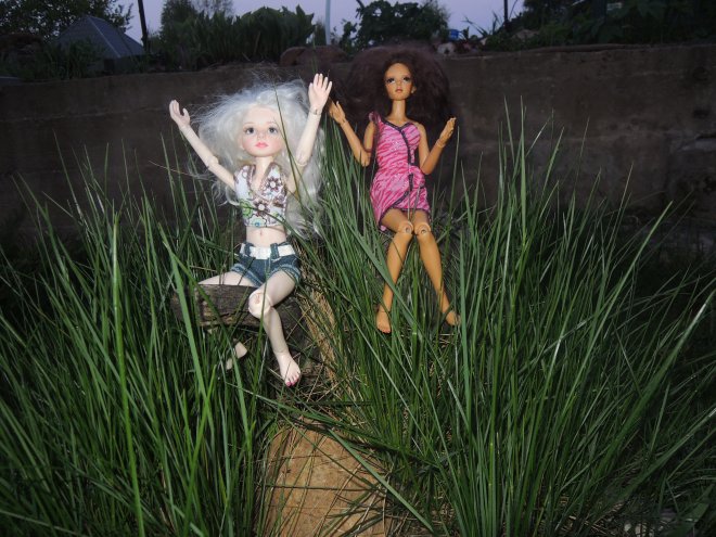 В гостях у гномов — Куклы Planetdoll (Планетдолл): BJD (БЖД)