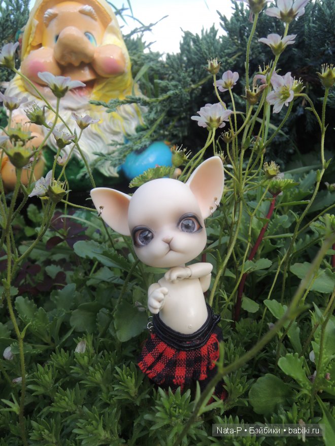 И снова Панг-Панг — Куклы Ai Doll и Pangju (Панджу): Tiny BJD (БЖД) (фото 5)