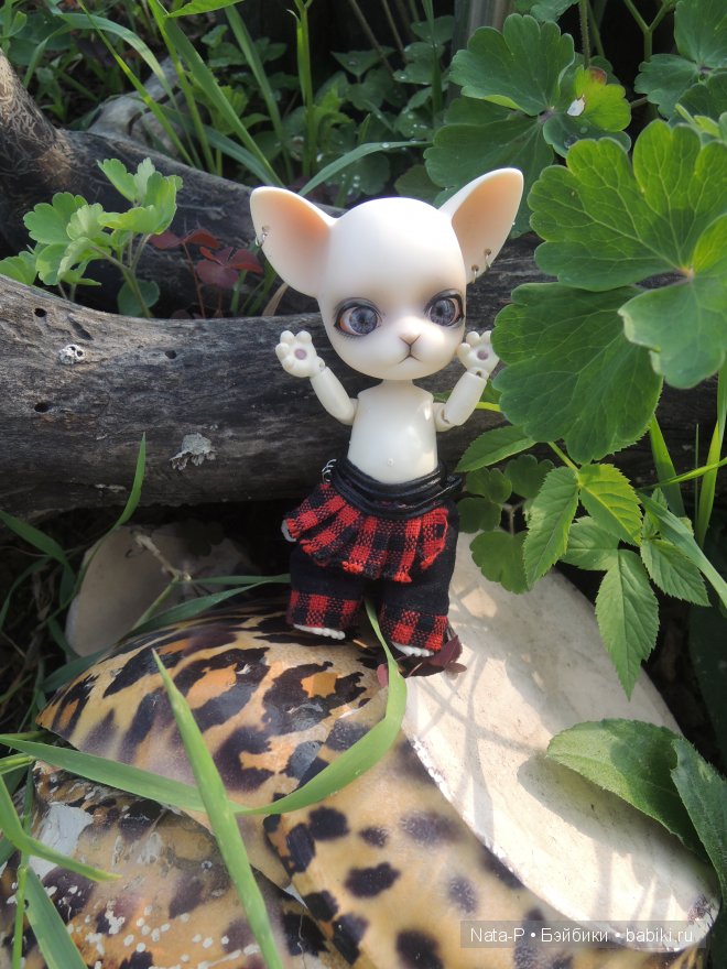 И снова Панг-Панг — Куклы Ai Doll и Pangju (Панджу): Tiny BJD (БЖД) (фото 6)