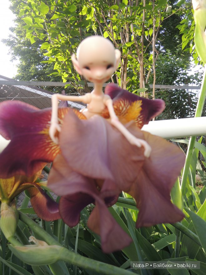 Сказка про маленькую фею — Фотоистории с куклами BJD (БЖД): сериалы (фото 5)