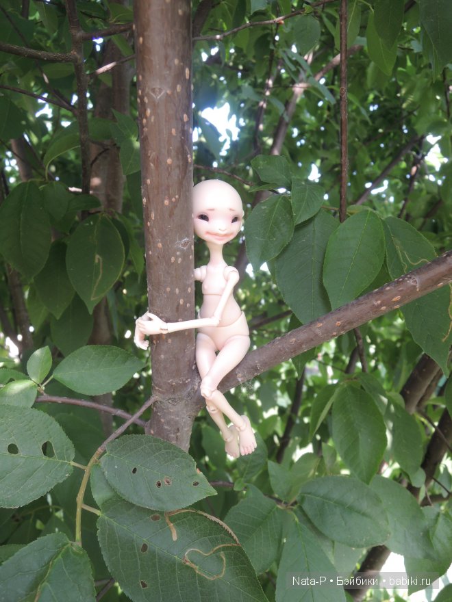 Сказка про маленькую фею — Фотоистории с куклами BJD (БЖД): сериалы (фото 10)