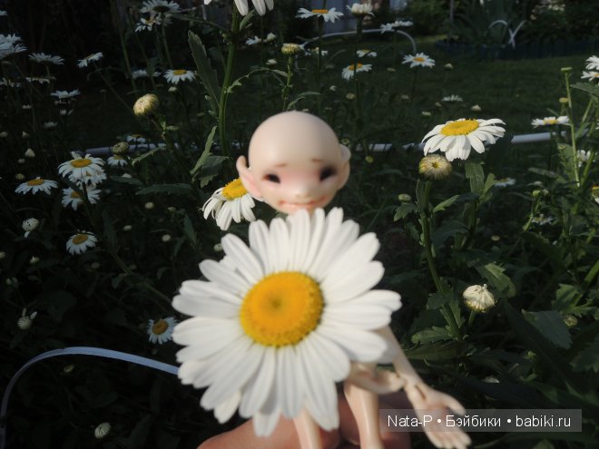 Сказка про маленькую фею — Фотоистории с куклами BJD (БЖД): сериалы (фото 3)