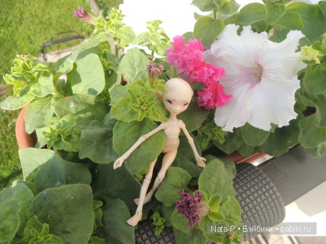 Сказка про маленькую фею — Фотоистории с куклами BJD (БЖД): сериалы