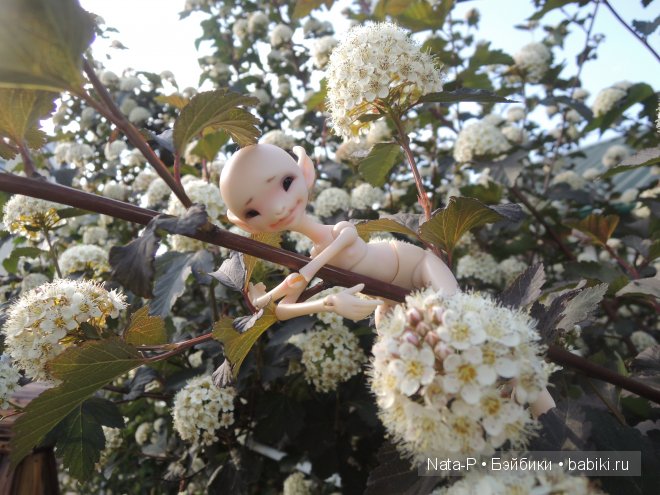Сказка про маленькую фею — Фотоистории с куклами BJD (БЖД): сериалы (фото 9)