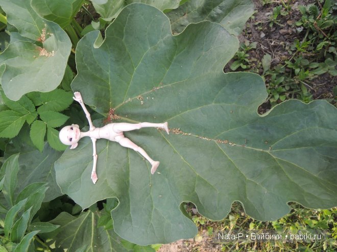 Сказка про маленькую фею. Часть 2 (фото 5)