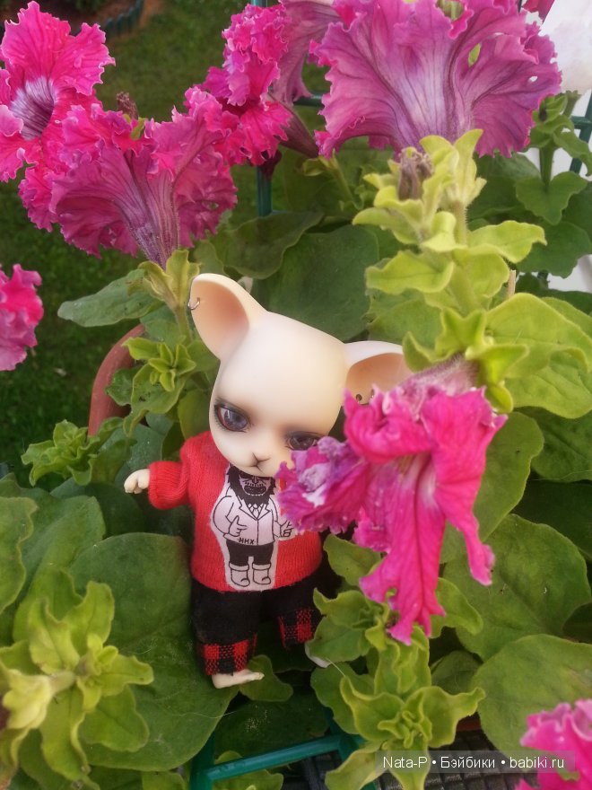 Почему грустит Панг-Панг — Куклы Ai Doll и Pangju (Панджу): Tiny BJD (БЖД)