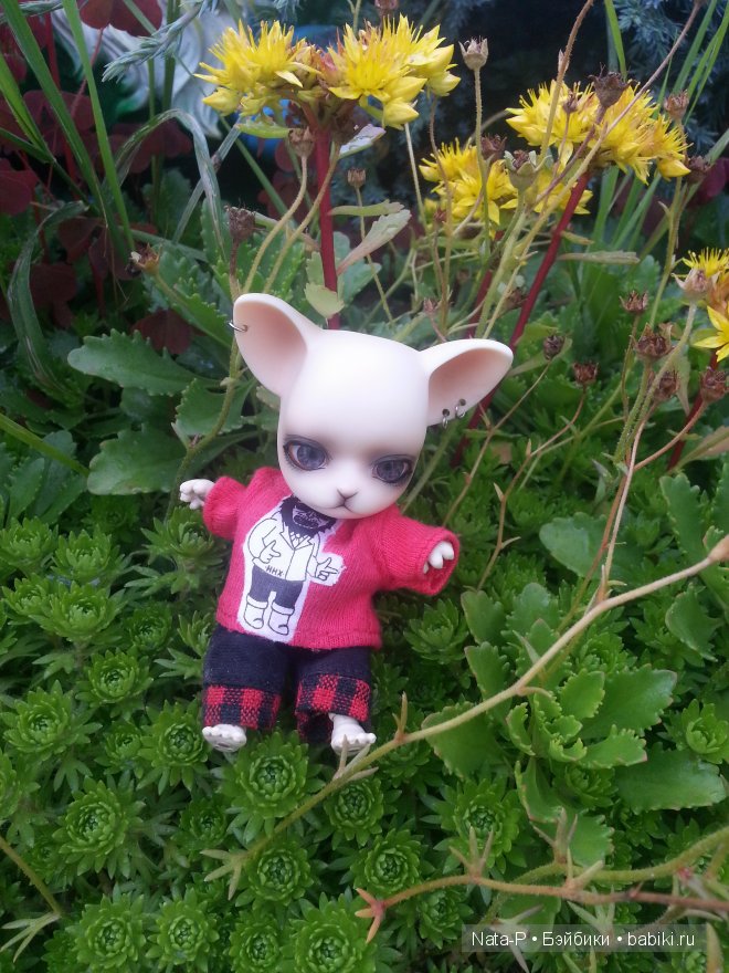 Почему грустит Панг-Панг — Куклы Ai Doll и Pangju (Панджу): Tiny BJD (БЖД) (фото 3)