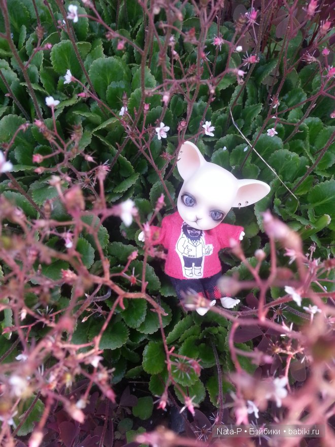 Почему грустит Панг-Панг — Куклы Ai Doll и Pangju (Панджу): Tiny BJD (БЖД) (фото 2)