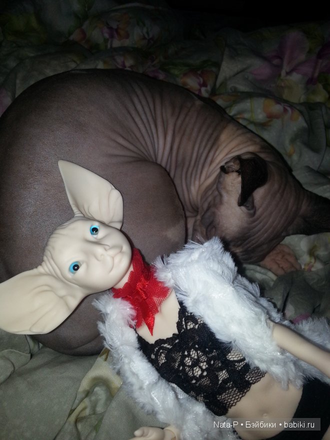 Нейт. Начало. Чистый лист (фото 5)