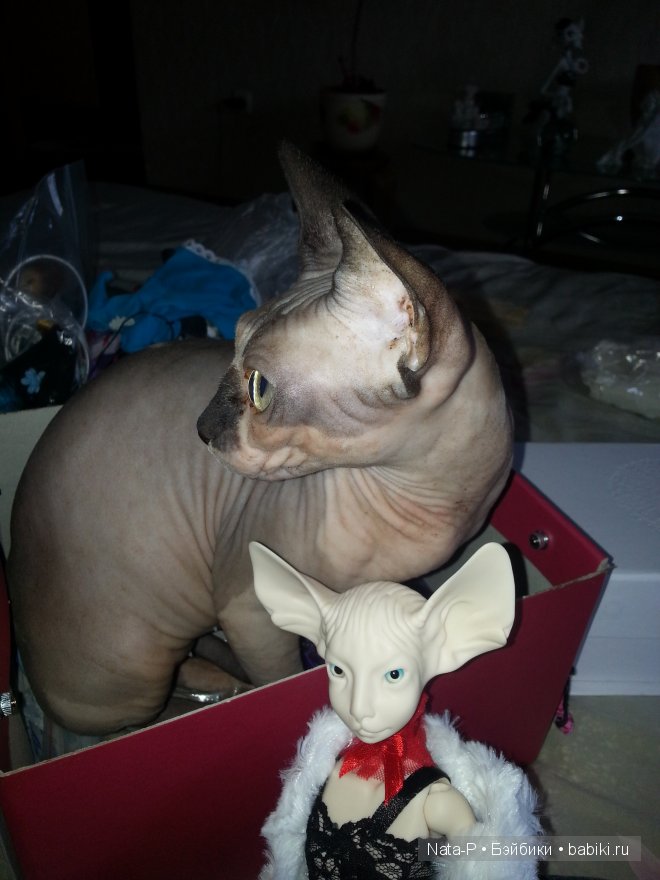 Нейт. Начало. Чистый лист (фото 3)