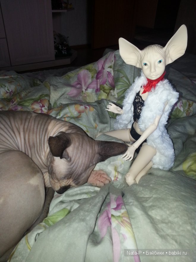 Нейт. Начало. Чистый лист (фото 4)