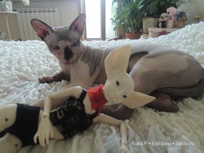 Мои малышки — Авторские куклы BJD (БЖД) у нас дома: фото (фото 5)