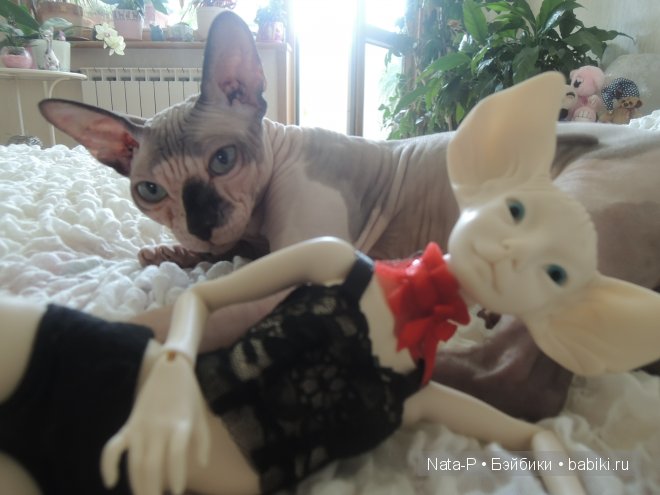 Мои малышки — Авторские куклы BJD (БЖД) у нас дома: фото (фото 4)