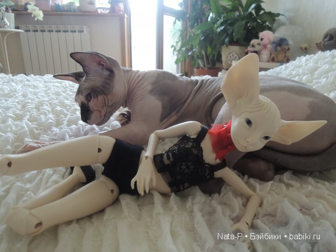 Мои малышки — Авторские куклы BJD (БЖД) у нас дома: фото (фото 3)