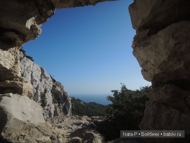 Панг-Панг и цветы. Отдых Панга. Вторая часть