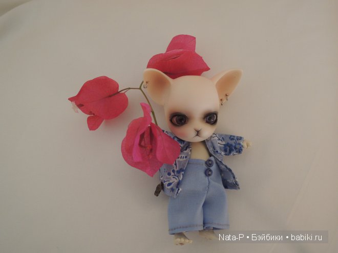 Панг-Панг и цветы. Отдых Панга. Вторая часть (фото 4)