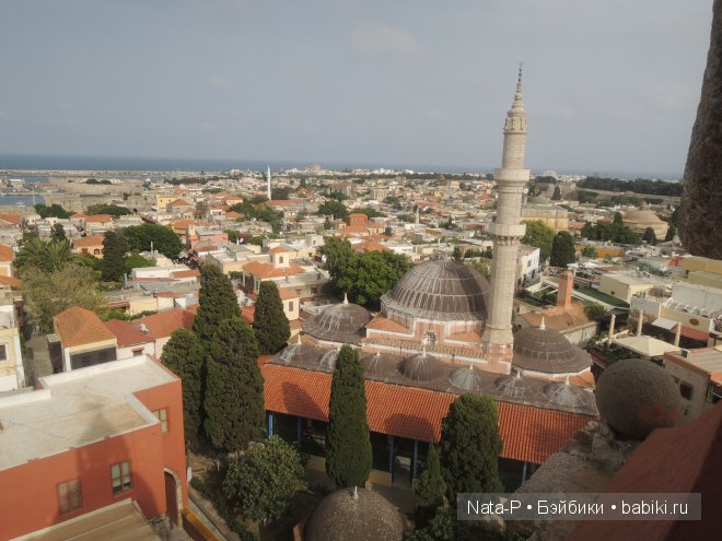 Панг-Панг и цветы. Отдых Панга. Вторая часть (фото 9)