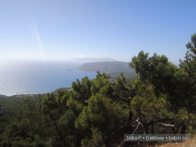 Панг-Панг и цветы. Отдых Панга. Вторая часть