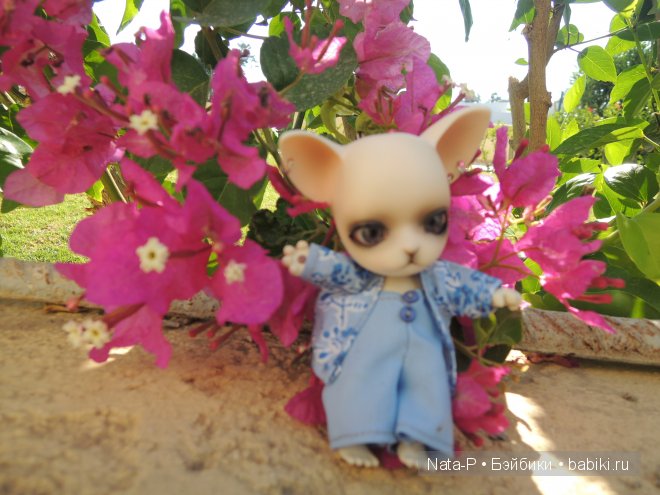 Панг-Панг и цветы. Отдых Панга. Вторая часть (фото 2)