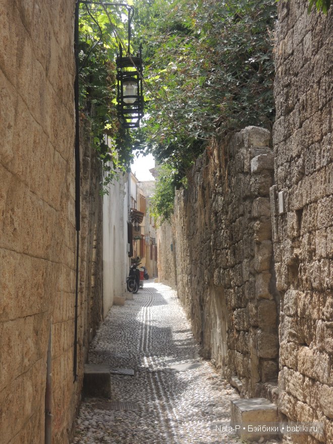 Панг-Панг и цветы. Отдых Панга. Вторая часть (фото 8)