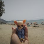 Большие греческие каникулы Панга Первая часть