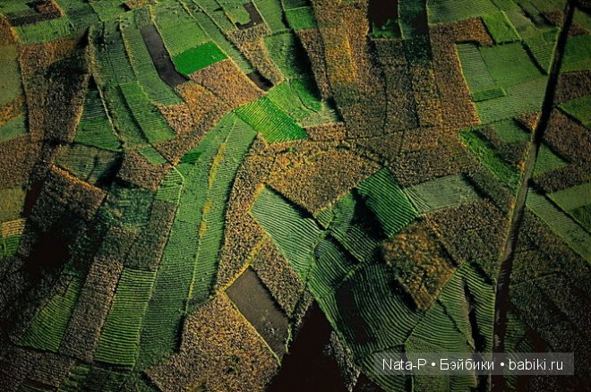 Легенда. Часть первая — Фотоистории с куклами BJD (БЖД): сериалы (фото 10)