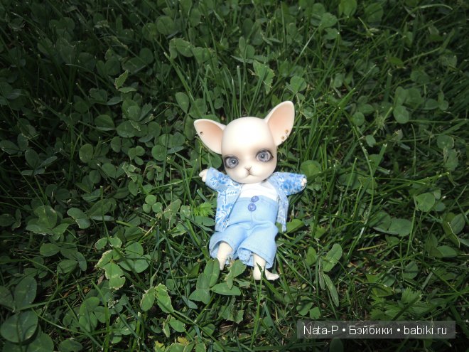 Как Панг-Панг дракона встретил (фото 3)