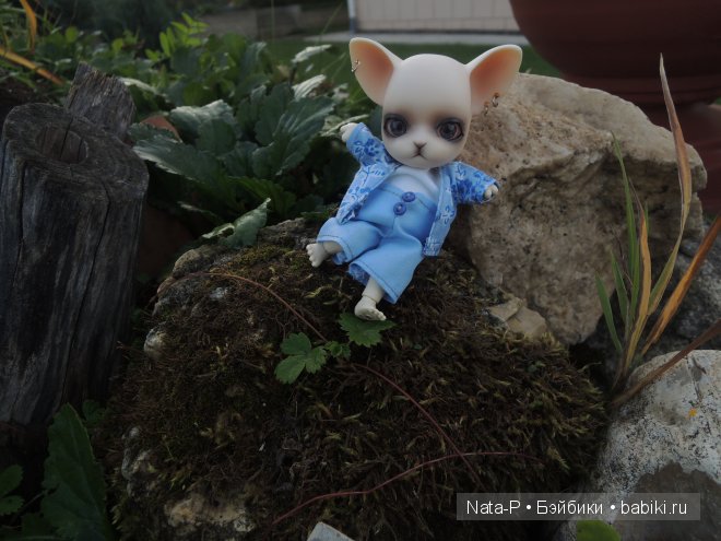 Как Панг-Панг дракона встретил