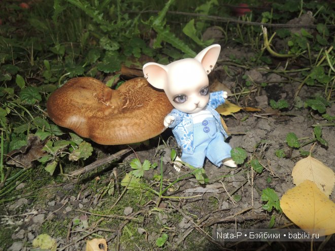 Как Панг-Панг дракона встретил (фото 5)