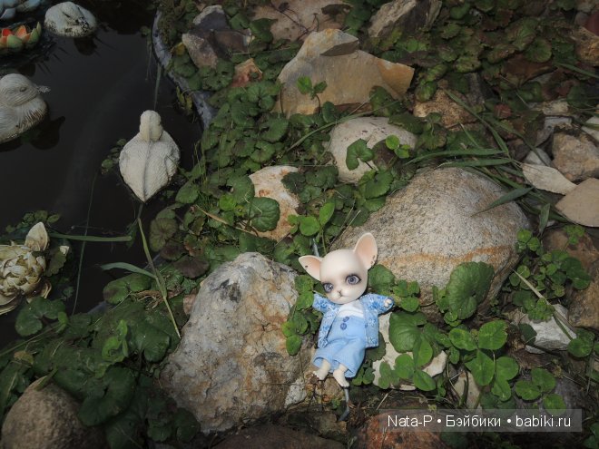 Как Панг-Панг дракона встретил (фото 2)