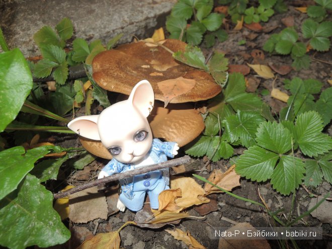 Как Панг-Панг дракона встретил (фото 6)