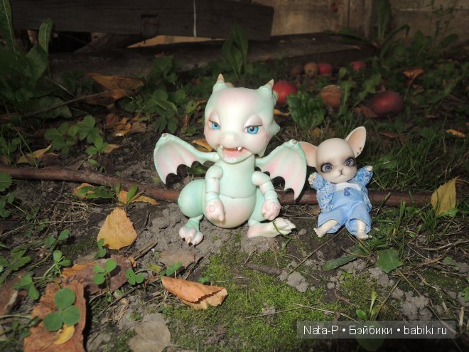 Как Панг-Панг дракона встретил