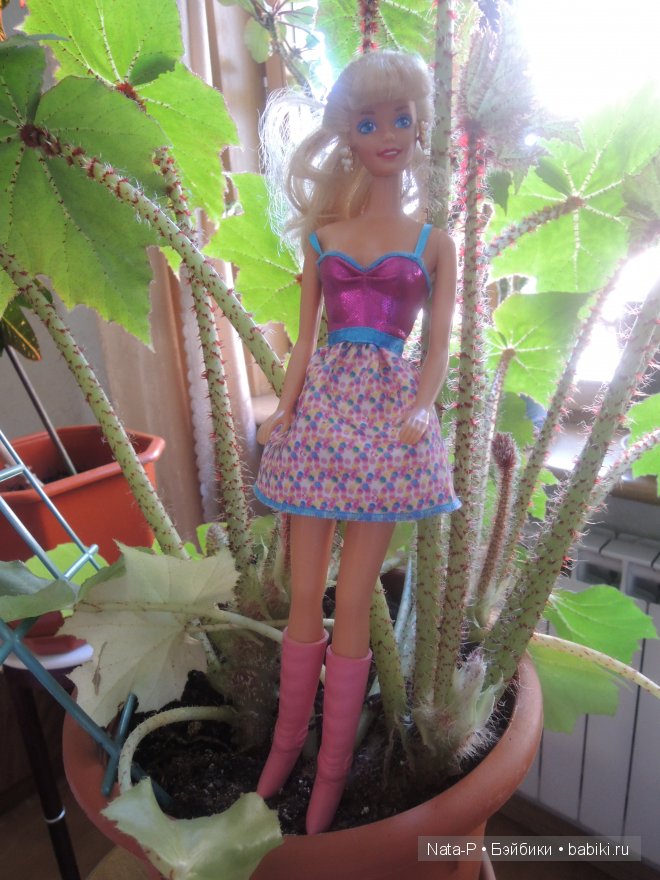 Привет из детства — Куклы Barbie (Барби): Looks (фото 2)