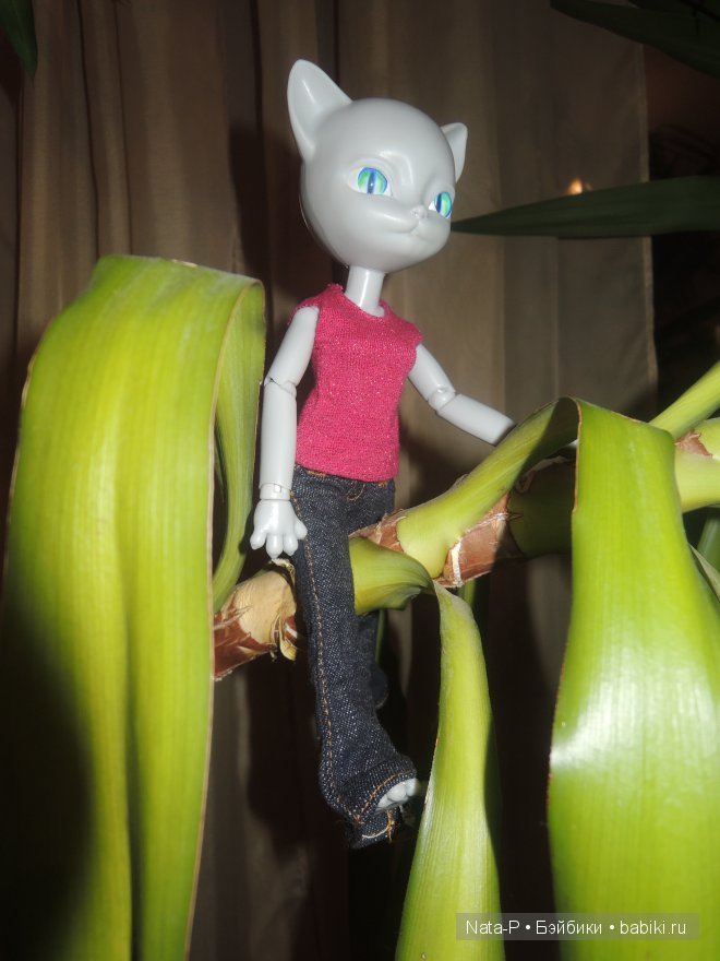 Новенькие. Неожиданные и долгожданные (фото 2)